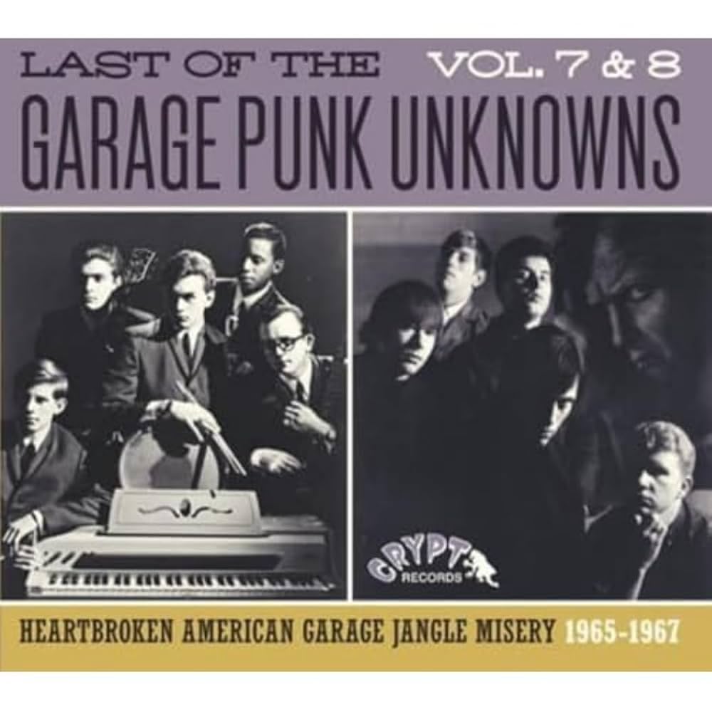 洋楽 GOT THE GO!!! VOL.2 LP GARAGE PUNK 洋楽 GOT THE GO!!! VOL.2 LP GARAGE PUNK Garage Punk Unknowns
